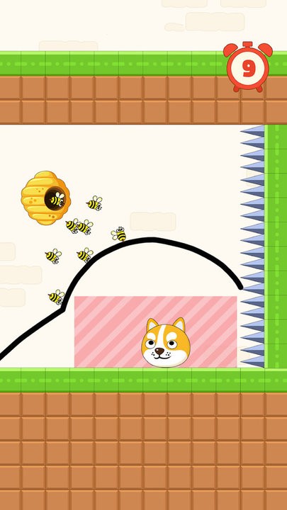 闯关大比拼救救小狗