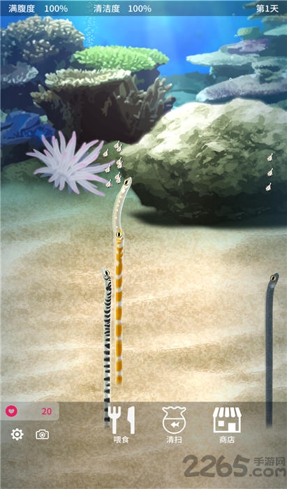 养育花园鳗的治愈游戏手机版