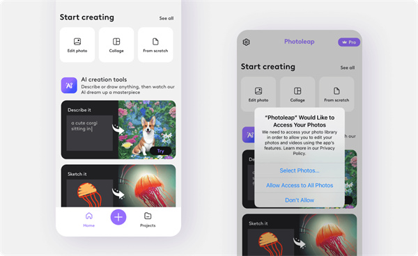 photoleap背景去除教程 photoleap背景去除方法