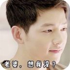 宋仲基gif微信表情包