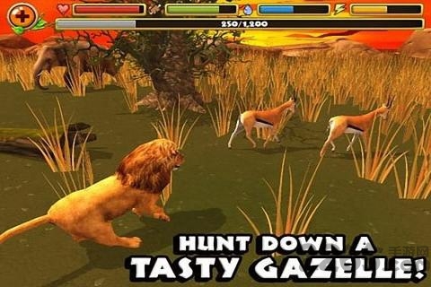 狮王模拟器游戏