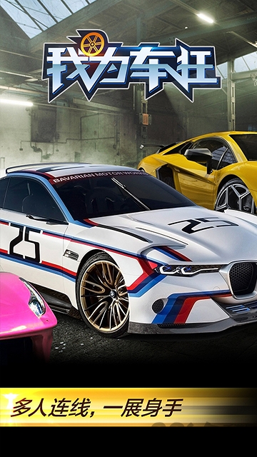 我为车狂游戏破解版