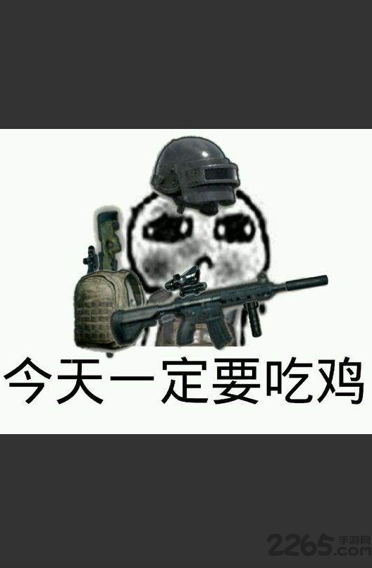 绝地求生表情包gif