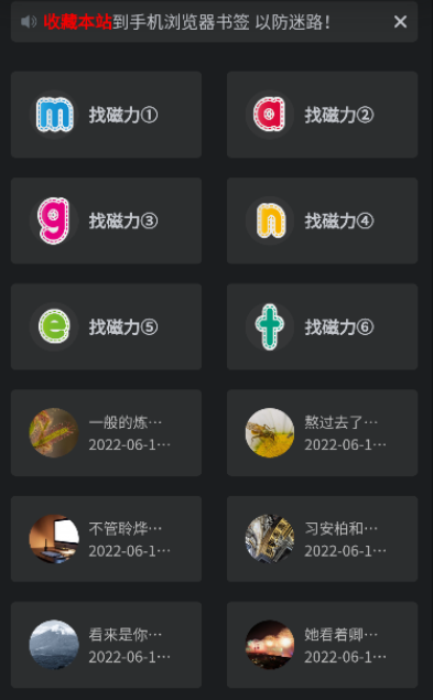 磁力王app使用教程
