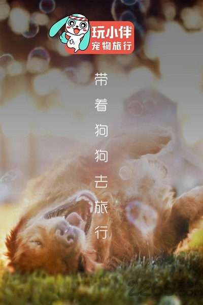 玩小伴宠物安卓版 玩小伴宠物app下载