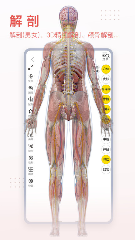 3dbody老版本