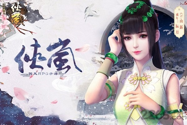 画江湖之侠岚无限元宝版