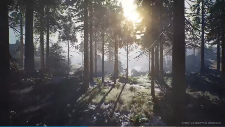 夜鸦游戏官方版(night crows)