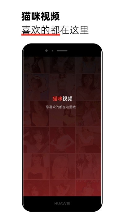 猫咪视频剪辑手机版