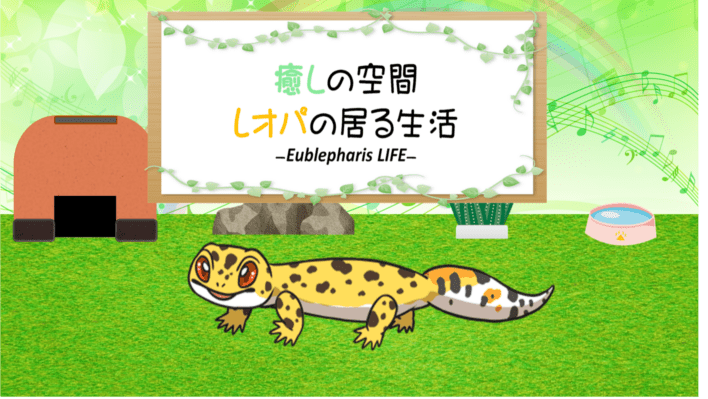 守宫的治愈小屋游戏