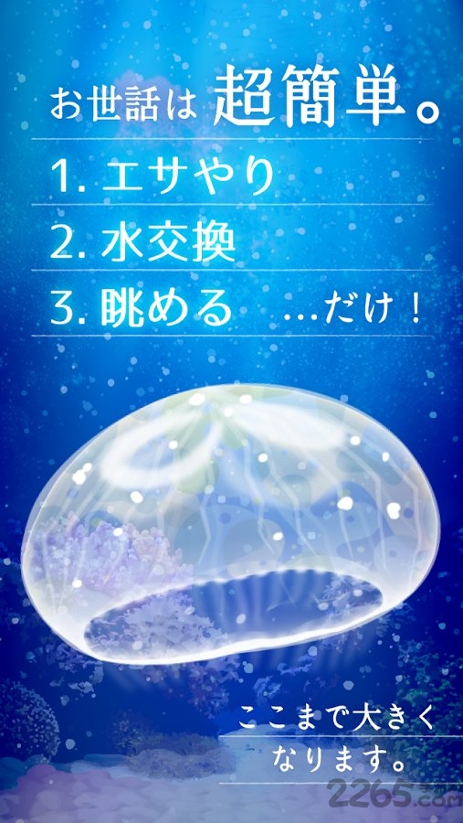 治愈系水母养成游戏