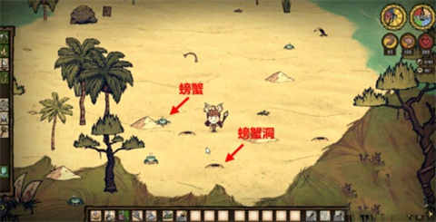 饥荒海滩抓螃蟹攻略