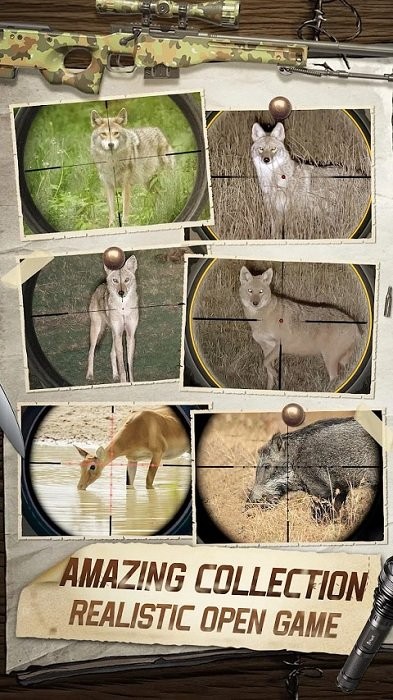 狩猎狙击手3D国际服(hunting sniper)