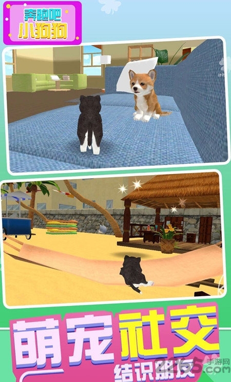 奔跑吧小狗狗免费版下载