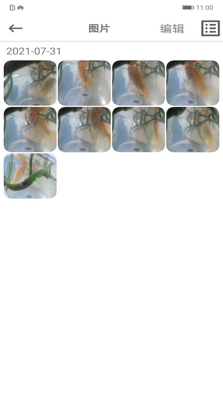 乐信车载影像手机版