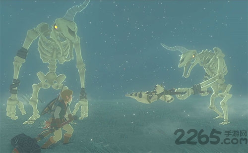 wiiu塞尔达无双中文版