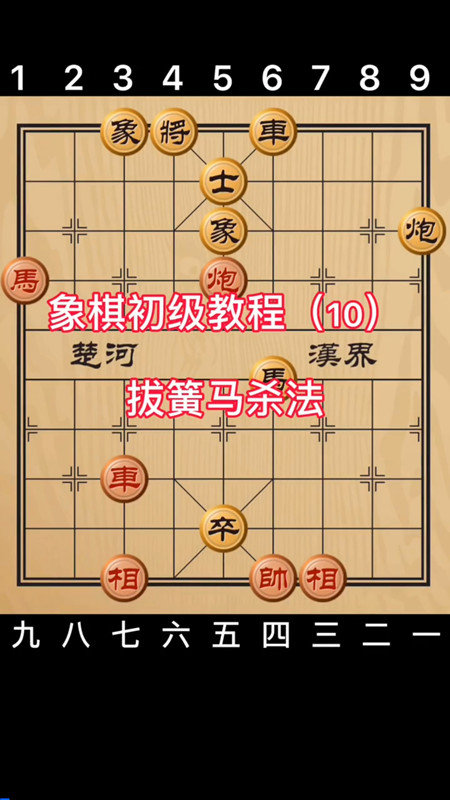 天天学象棋最新版