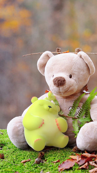 治愈萌芽熊2游戏