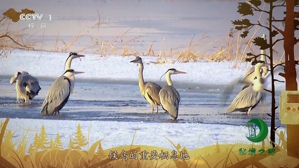 电视+1电视直播 电视+1软件下载