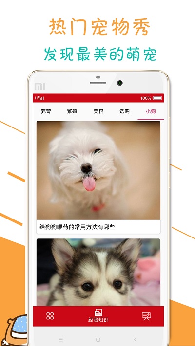 宠物狗狗百科软件