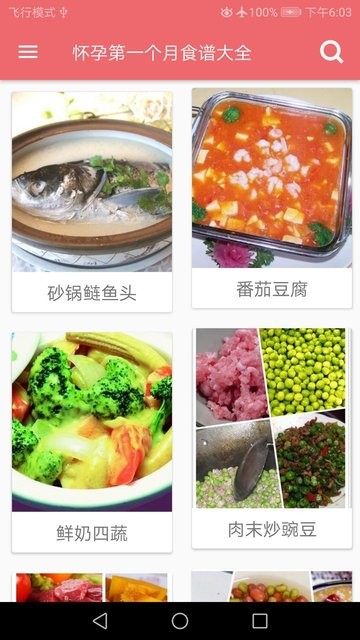 孕妇营养食谱app