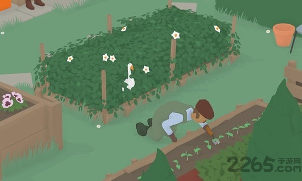 鲤鱼解说大白鹅模拟器中文破解版