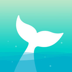 如鱼官方版 v1.9.1