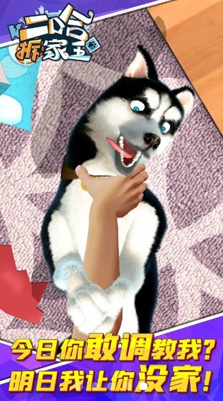 二哈拆家王手机版 二哈拆家王游戏下载