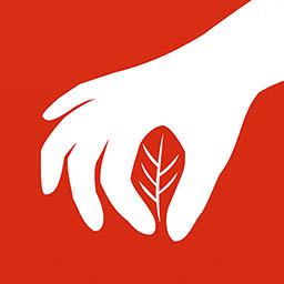 药采采平台下载-安卓版下载最新版