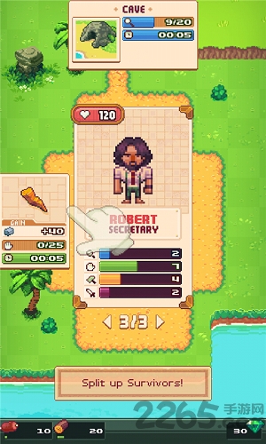 流浪者小岛果盘版