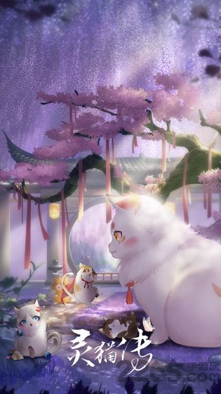 灵猫传手游官服