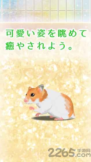 治愈仓鼠养成游戏