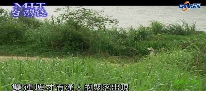 港澳台直播tv版