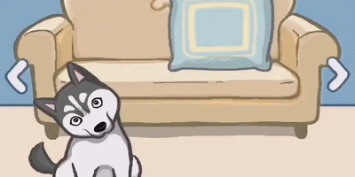 养只二哈不容易