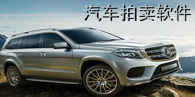 汽车拍卖软件
