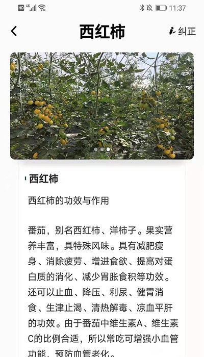 植物科普百科官方版 植物科普百科app下载