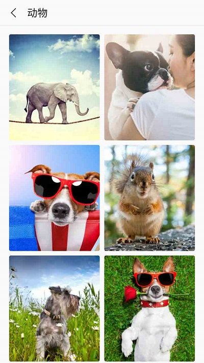 芒果壁纸软件 芒果壁纸app下载