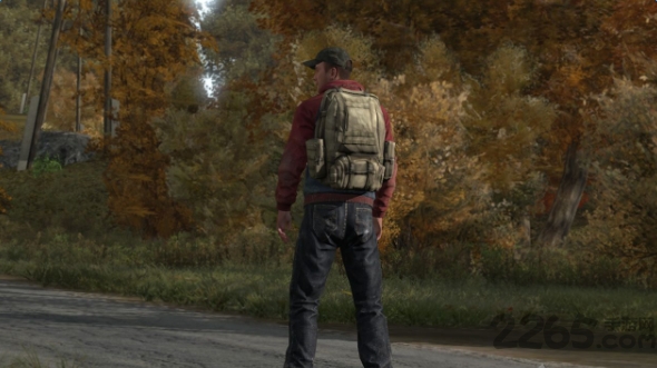 DayZ手机汉化版 DayZ手机中文汉化版下载