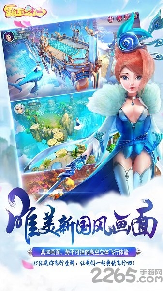 霸王之心变态版