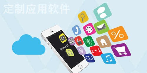 定制应用软件