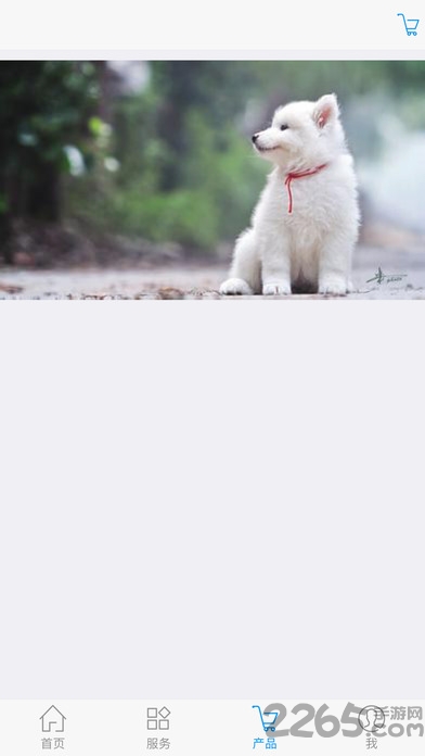 卓越健康手机版