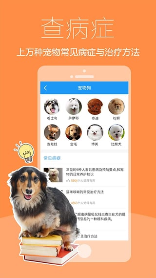 爱宠医生手机版