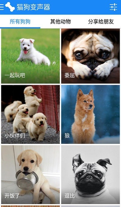 宠物声音转换器app 宠物声音转换器下载