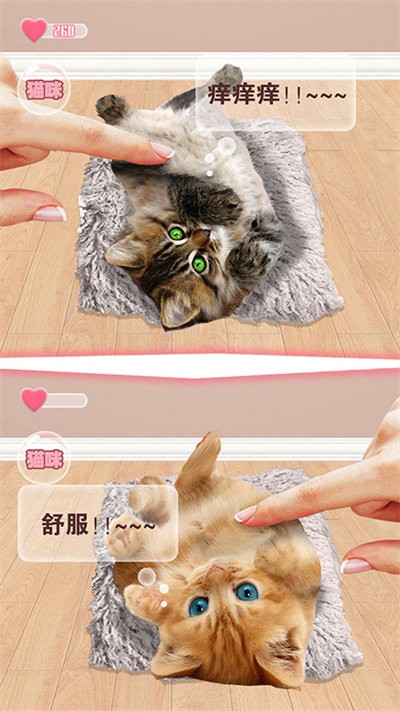 猫猫语言转换器app