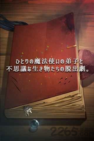 逃离魔法师之家破解版