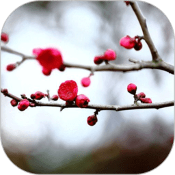 梅花易数笔记app手机版 v1.5.2