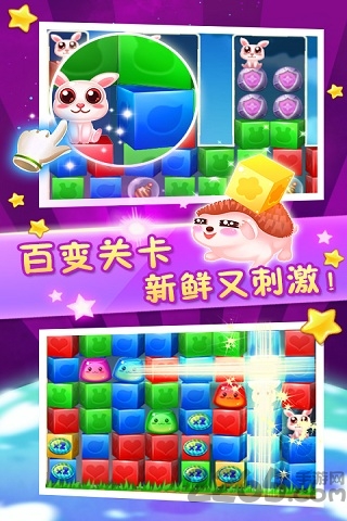 消灭星星救宠物手机版 消灭星星救宠物破解版下载