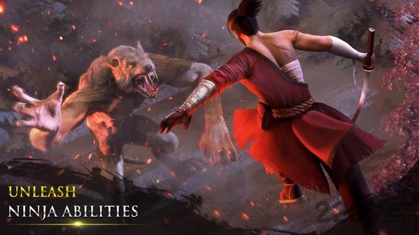 忍者武士隆最新版(takashi)