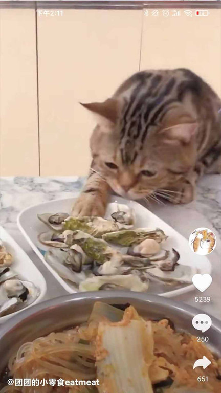 好刷app 好刷手机版