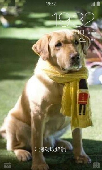 神犬小七桌面锁屏壁纸